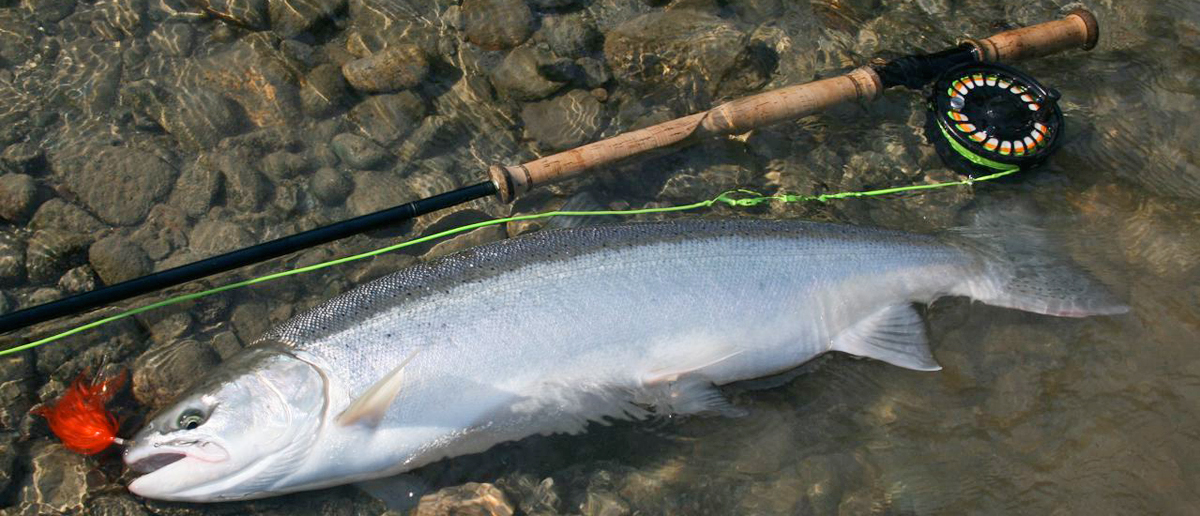 Burkheimer Zweihand Fliegenrute mit schoenem Lachs