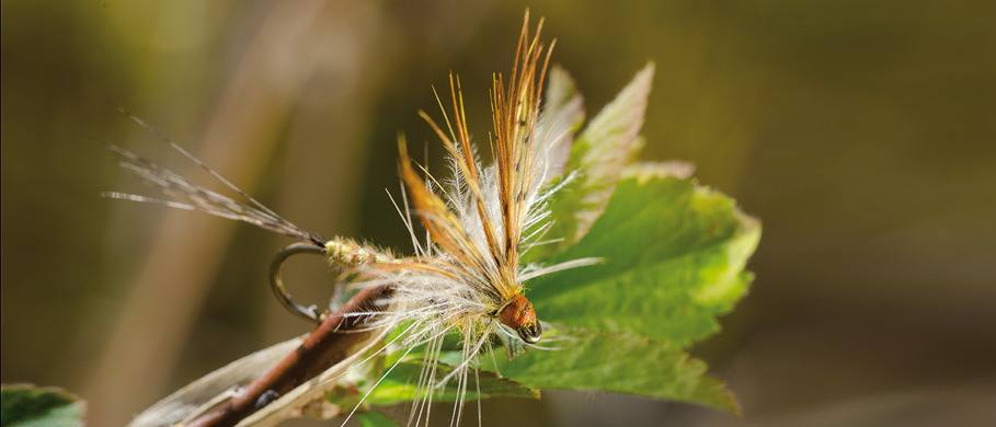 Fliege erhältlich bei Flyfishing Europe