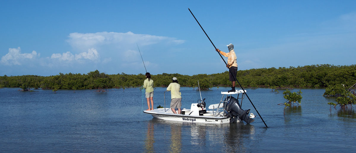 Topwaterfliegen und Popper Fliegen