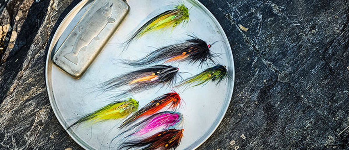 Lachs- und Meerforellenfliegen Frödin Flies