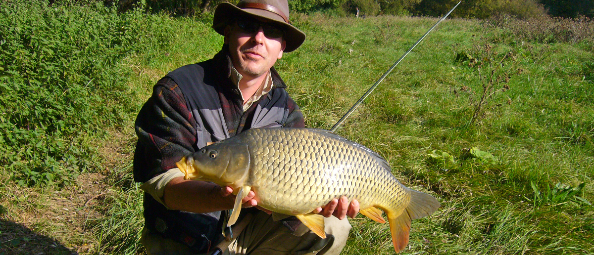 Karpfenfliegen Spezialmuster zum Fliegenfischen