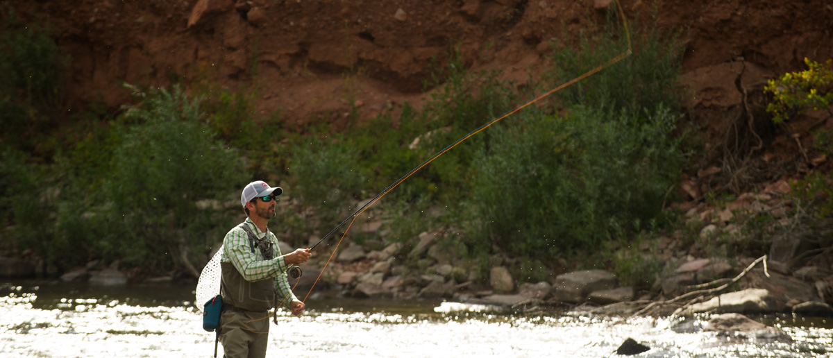 Mastery Fliegenschnur von Scientific Anglers Aesche und Forellen