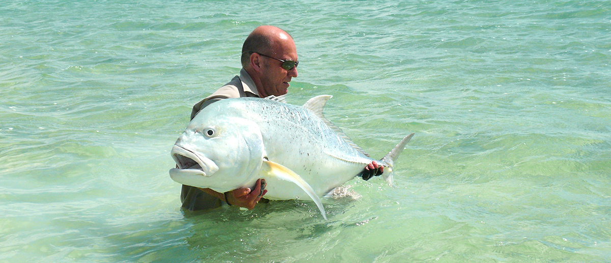 Popper Fliegen und Topwater-Fliegen