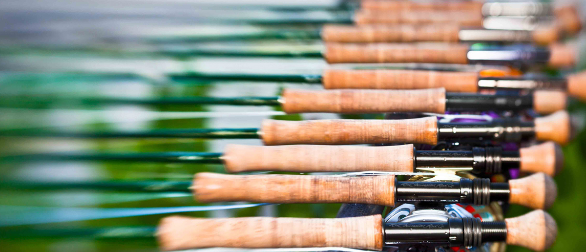Eine schöne Auswahl an Winston Fliegenruten, bereit zum Fliegenfischen. Erhältlich bei Flyfishing Europe.