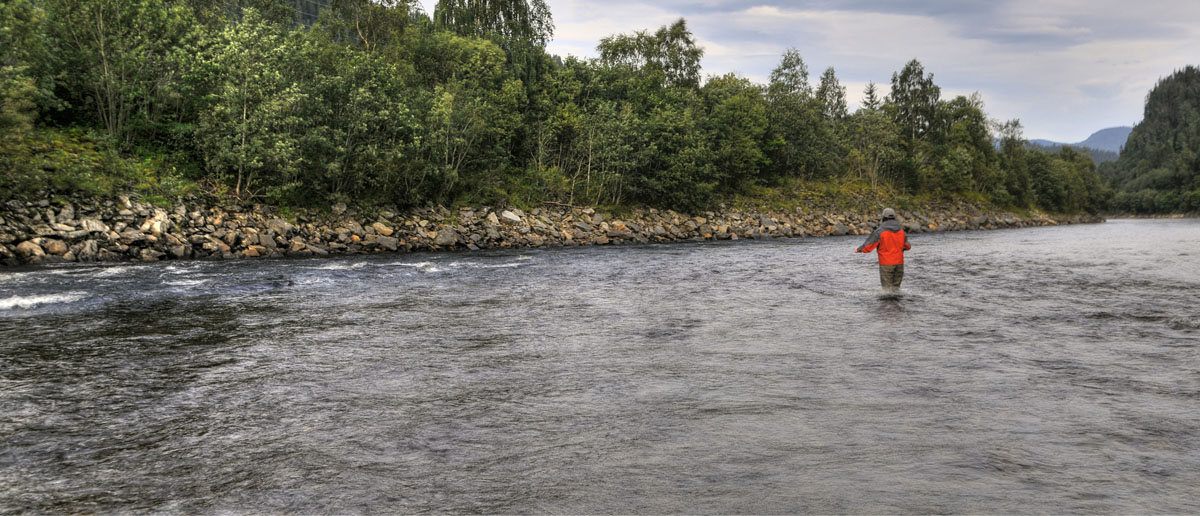 Mirjana Pavlic von Flyfishing Europe beim Fliegenfischen auf Lachs an der Gaula.