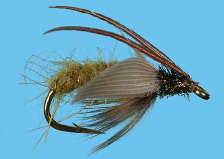 Caddis Fly (Mosca) Secca Artificiale Per Pesca A Mosca - Nero - Taglia 16 - Foto 3