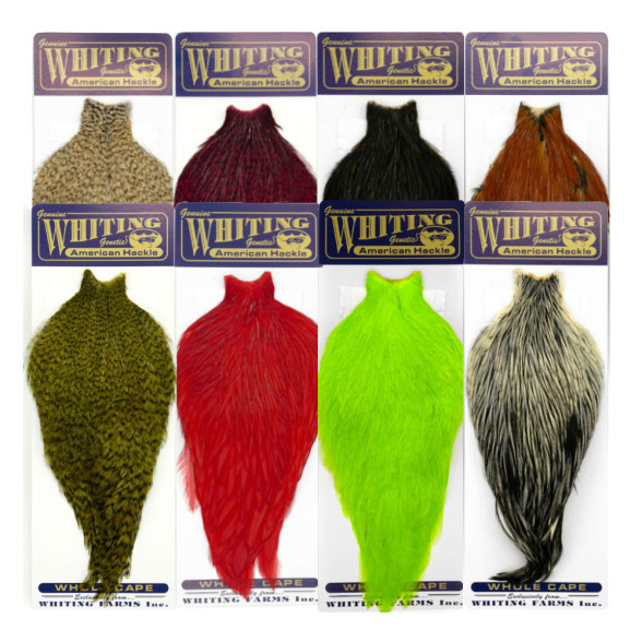 Whiting American Rooster Cape - Skalp als ganzer Balg