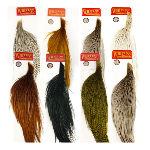 Whiting Rooster Cape - Bronze, Skalp als halber Balg