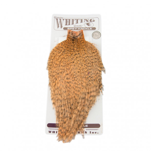 Whiting Spey Hackle Balg grizzly salmon