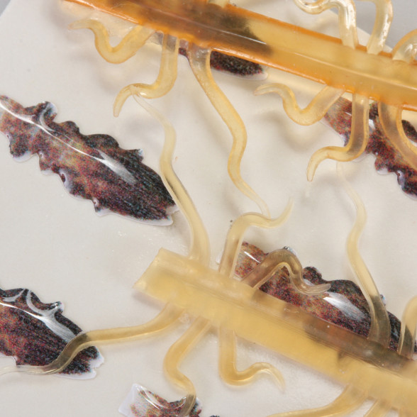 Bugs Pitt Stop Damselfly OUTLET zum Fliegenfischen bei Flyfishing Europe
