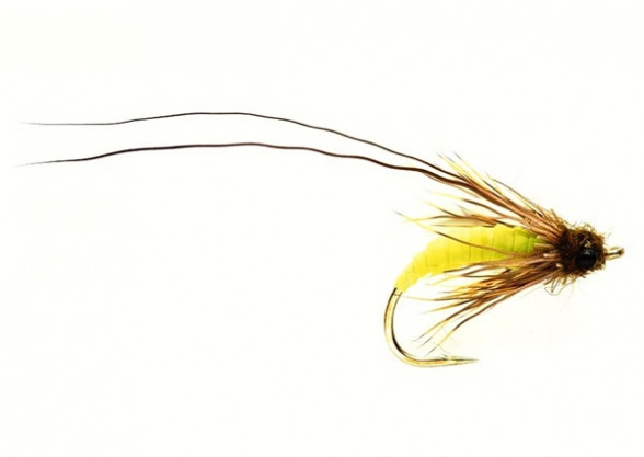 Struggling Sedge green Emerger Koecherfliege Trockenfliege
