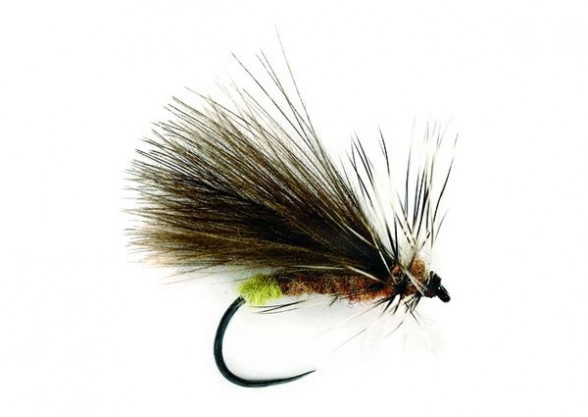 Barbless Caddis SR CdC Double Wing Koecherfliege