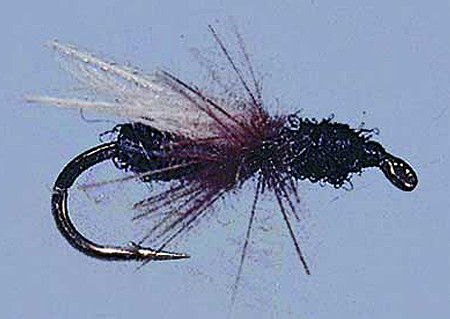 Smith's Black Ant CDC Size 16 zum Fliegenfischen bei Flyfishing Europe