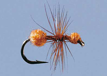 Cinnamon Fur Ant Size 16, Terrestrials zum Fliegenfischen auf Äschen und Forellen bei FFE