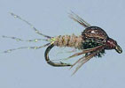 Rainy´s Split Tail Nymph Size 16 zum Fliegenfischen bei Flyfishing Europe