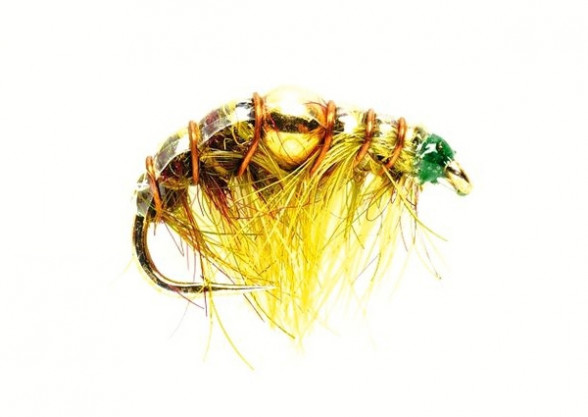Nugget olive gold Bachflohkrebs Shrimp Nymphe