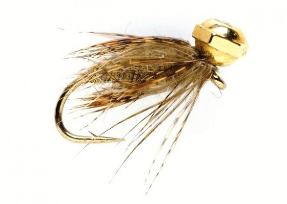 Polyfitus Natural Koecherfliegenlarve Nymphe