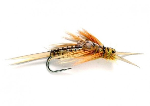 Barbless Golden Stonefly OE 08 Steinfliegenlarve