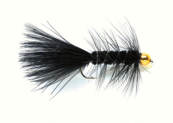 Wooly Bugger Streamer black Gold Nugget