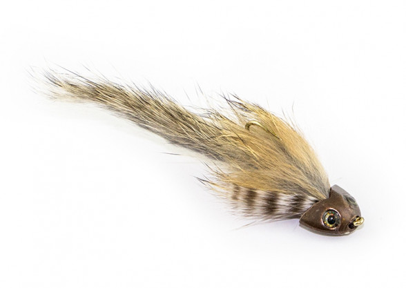 Brown Sculpin Koppenstreamer Forelle