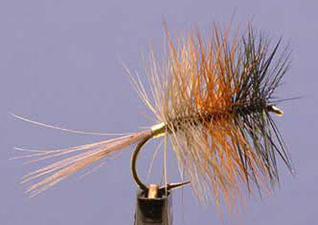 Traun Tricolor Size 12, Europe Trockenfliege zum Fliegenfischen auf Äschen und Forellen bei FFE