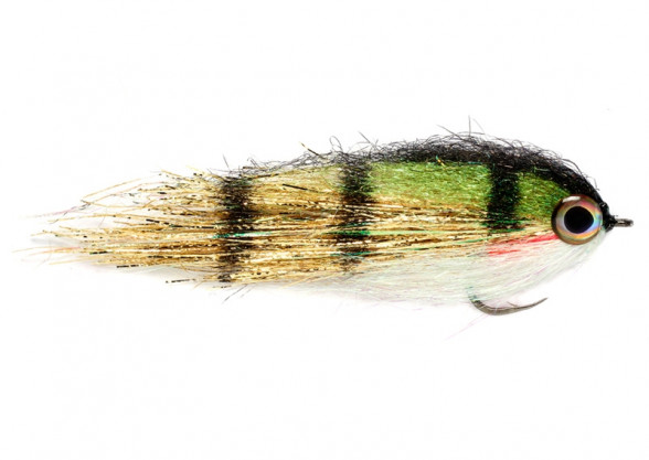 Clydesdale Gold Perch Pikefly Hechtstreamer