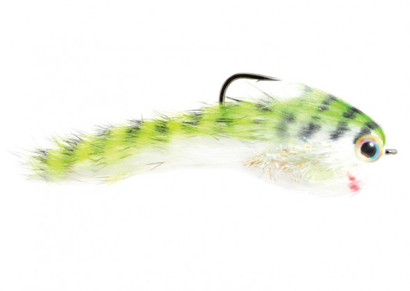 Belly Scratcher Minnow chartreuse black Streamer