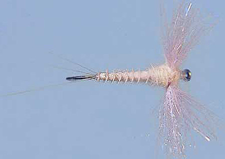 Sparkle Wing Spinner PMD Size 16, Spent zum Fliegenfischen auf Äschen und Forellen bei FFE