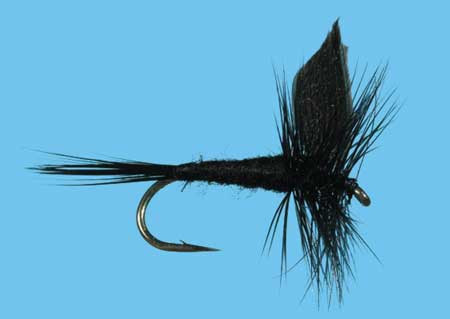 Black Gnat 12, Solitude Trockenfliege zum Fliegenfischen auf Äschen und Forellen bei Flyfishing Europe
