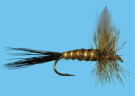 Brown Drake Größe 12, Solitude Trockenfliege zum Fliegenfischen auf Äschen und Forellen bei Flyfishing Europe
