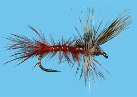 Callibaetis Cripple Größe 14, Solitude Trockenfliege zum Fliegenfischen auf Äschen und Forellen bei Flyfishing Europe