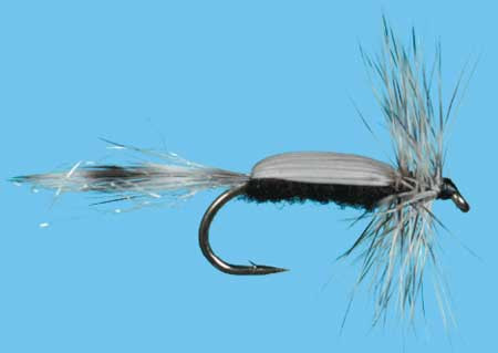 Chironomid Adult Größe 14, Solitude Trockenfliege zum Fliegenfischen auf Äschen und Forellen bei FFE