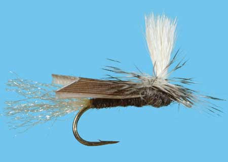 Parachute Slich Water Caddis Gray 14, Solitude Parachute Trockenfliege zum Fliegenfischen auf Äschen und Forellen bei FFE