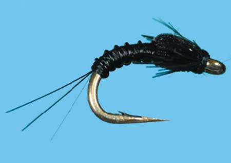 BTS Nymph Black Größe 16, Solitude Nymphen zum Fliegenfischen auf Äschen und Forellen bei Flyfishing Europe