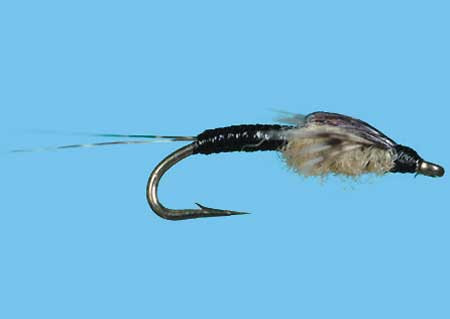 Killer Mayfly Nymph Black Größe 18, Solitude Nymphen zum Fliegenfischen auf Äschen und Forellen bei Flyfishing Europe