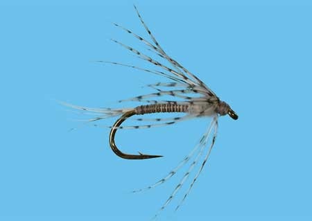 Soft Hackle Callibaetis Größe 14, Solitude Nymphen zum Fliegenfischen auf Äschen und Forellen bei Flyfishing Europe