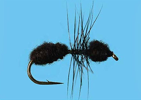 Ant (Ameise) Black Größe 14, Solitude Terrestrials zum Fliegenfischen auf Äschen und Forellen, erhältlich bei Flyfishing Europe