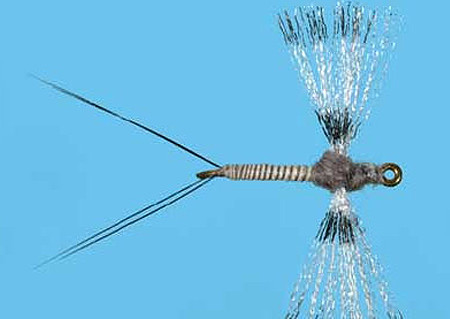 Organza Callibaetis Spinner Größe 14, Solitude Spent zum Fliegenfischen auf Äschen und Forellen bei Flyfishing Europe