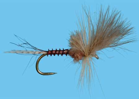 Harrops Last Chance Cripple Pink 18, Solitude Trockenfliege zum Fliegenfischen auf Äschen und Forellen bei Flyfishing Europe