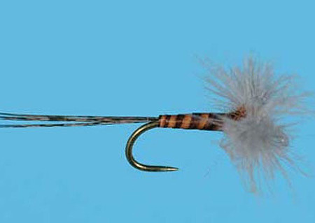 CDC Biot Rusty Spinner Größe 16, Solitude Spent zum Fliegenfischen auf Äschen und Forellen bei Flyfishing Europe