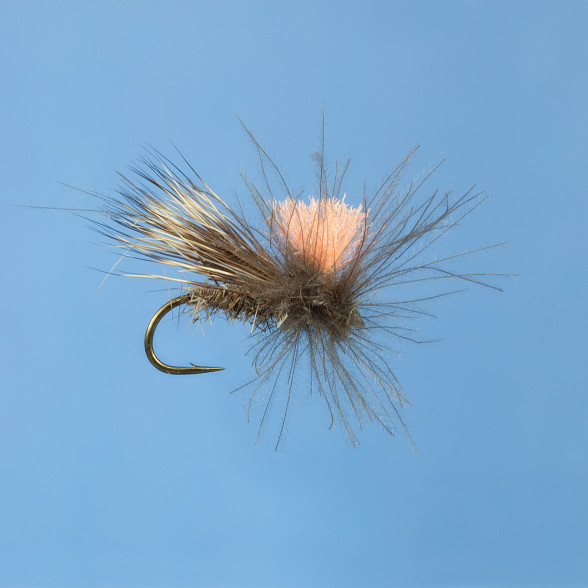 Catchy Flies Deer Caddis Trockenfliege CF10
