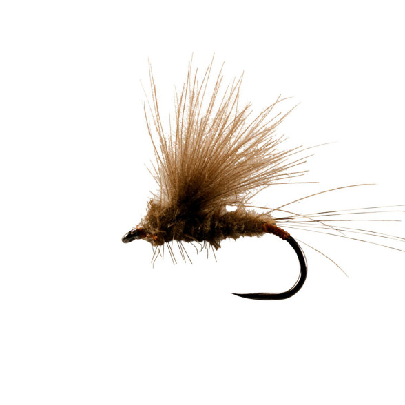Catchy Flies CF1022 BL March Brown Dun CDC-Trockenfliege barbless