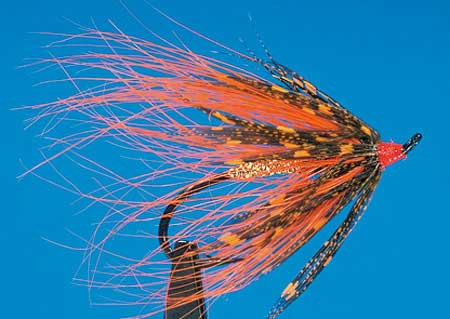 Spey Fly, Size 2 orange, Lachsfliege zum Fliegenfischen auf Lachs bei FFE