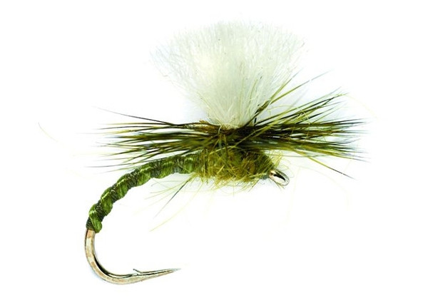 Abbrechklingen Schwarz Klinkhammer Forellenfliegen, 6 X Olivenklinkhammer, Größenwahl, Emerger Oliven Trockenfliegen Emerger Fliegenfischen