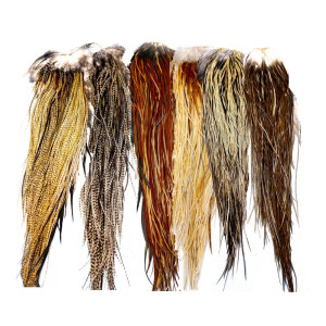 Whiting Heritage Hackle Cape Farbschemata