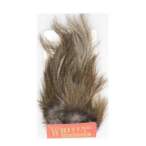 Whiting Coq de Leon Tailing Pack dark pardo