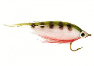 Polar Minnow Perch Barsch Streamer