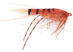 Micro G.P Special - Micro Serie Froedin Flies