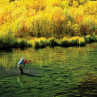 Winston Passport Fliegenruten zum Fliegenfischen bei Flyfishing Europe