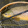 Winston Rute Nexus Fliegenruten zum Fliegenfischen bei Flyfishing Europe